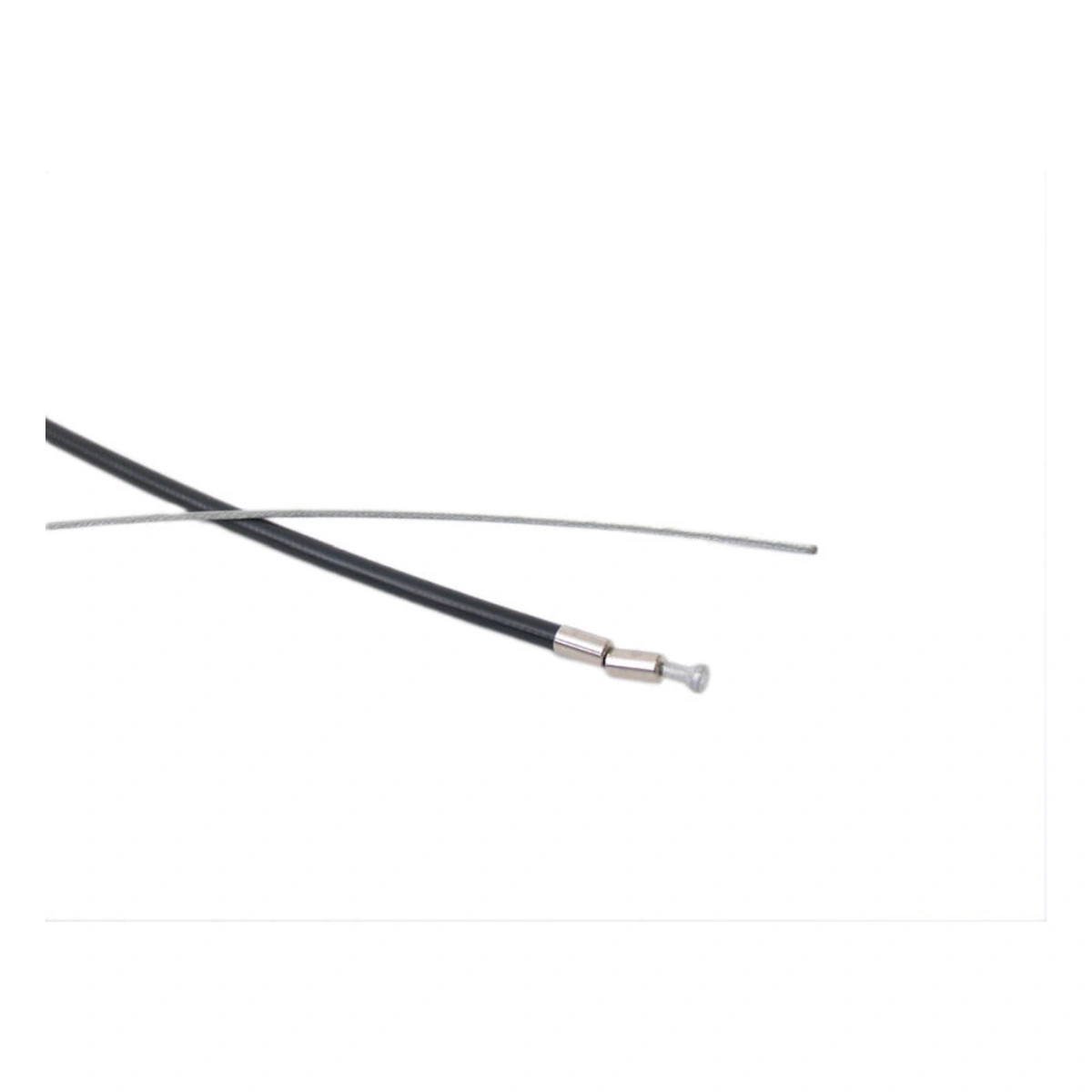 175911-1. Webp 175911 1