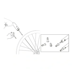 27520010-4-1. Webp 27520010 4 1