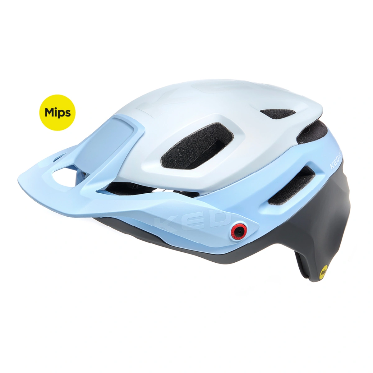 279009-1. Webp 279009 1