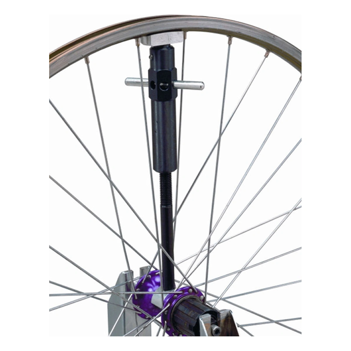 285014-1. Webp 285014 1