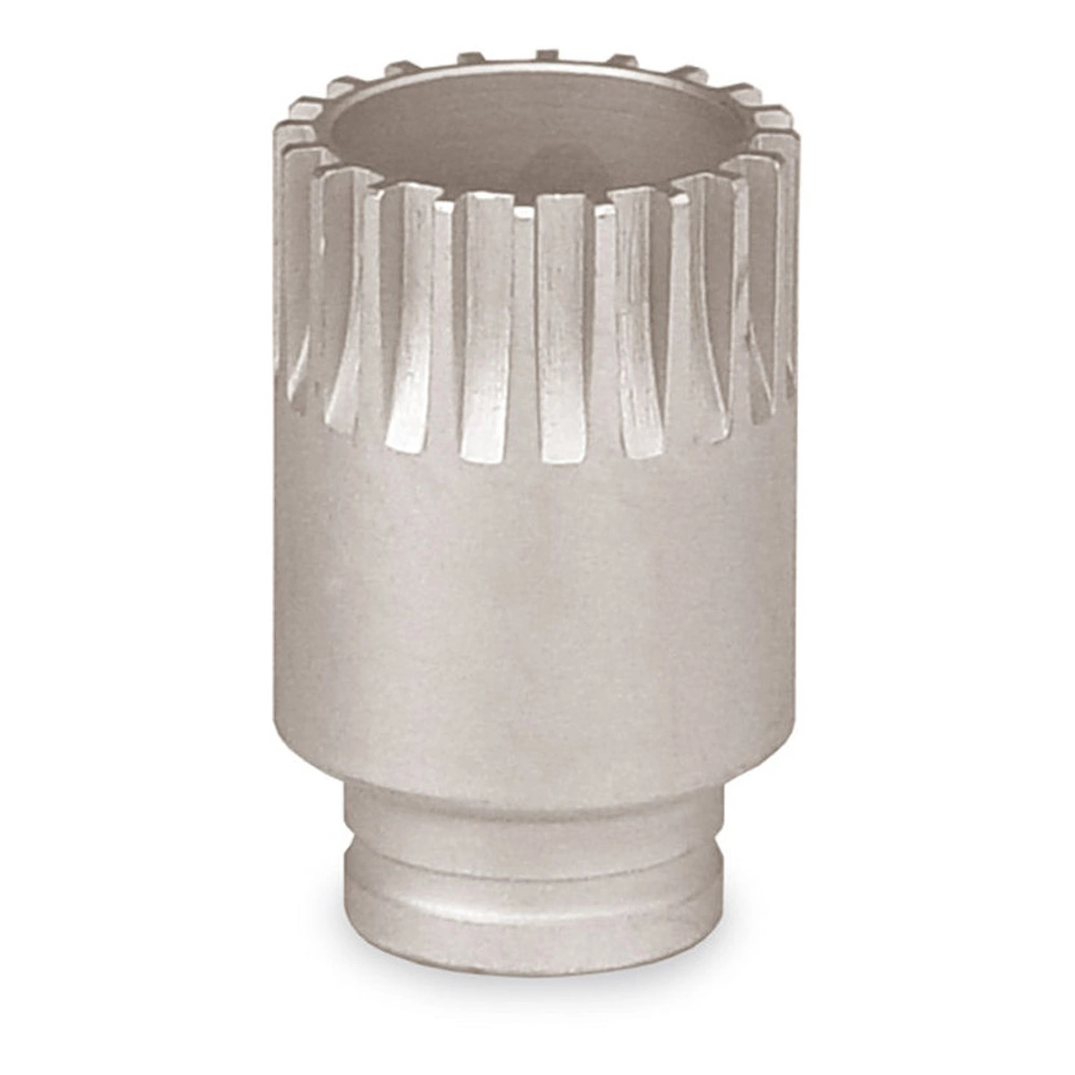 285193-1. Webp 285193 1