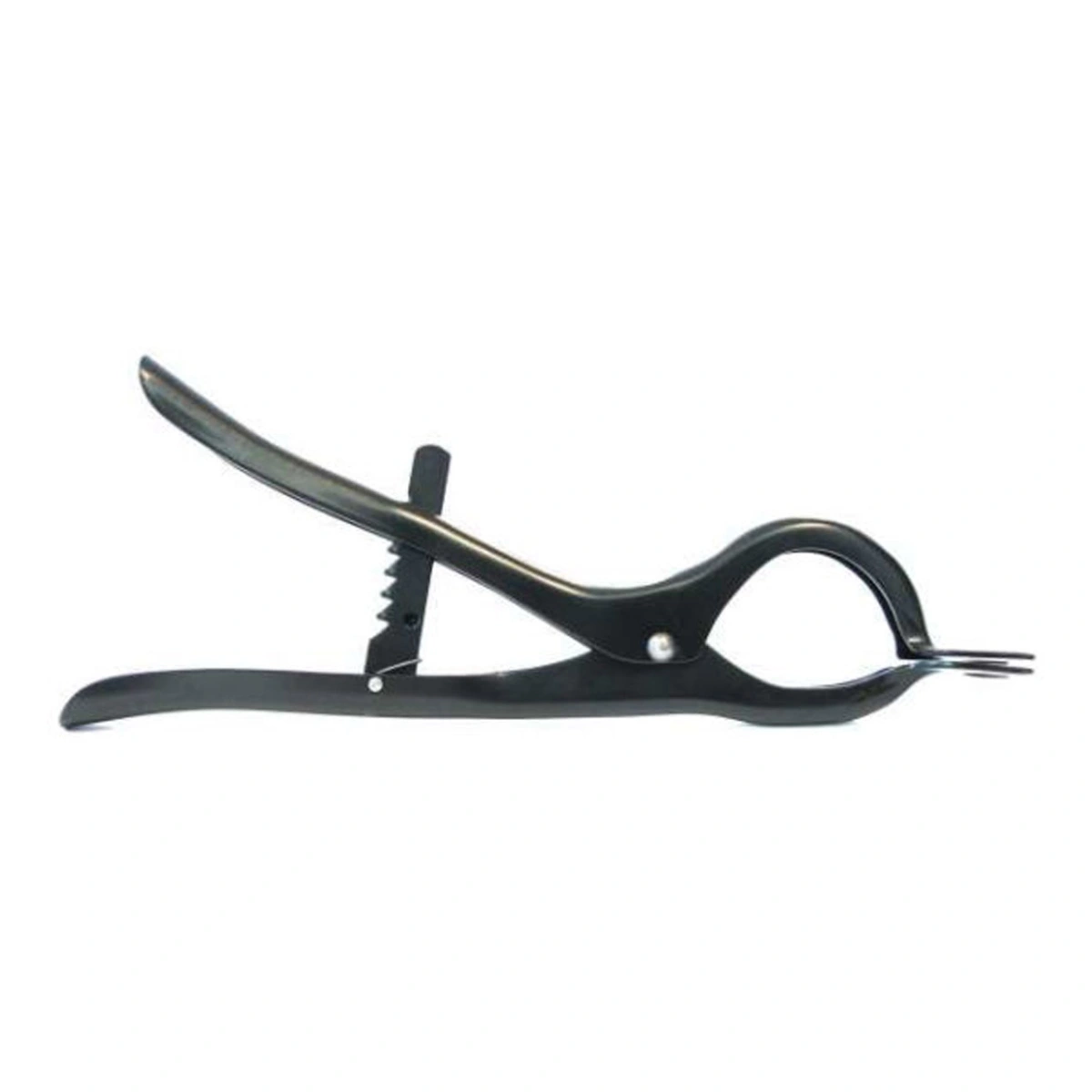 286270-1. Webp 286270 1