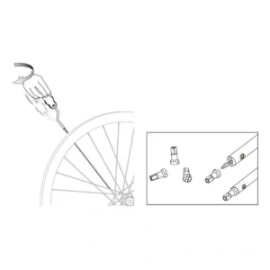 286596_1-1. Webp 286596 1 1