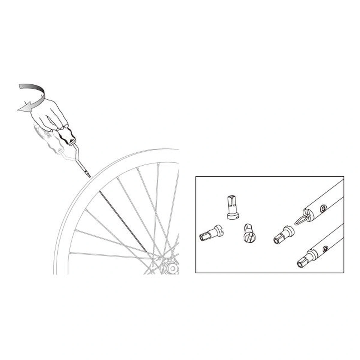 286596_1-1. Webp 286596 1 1