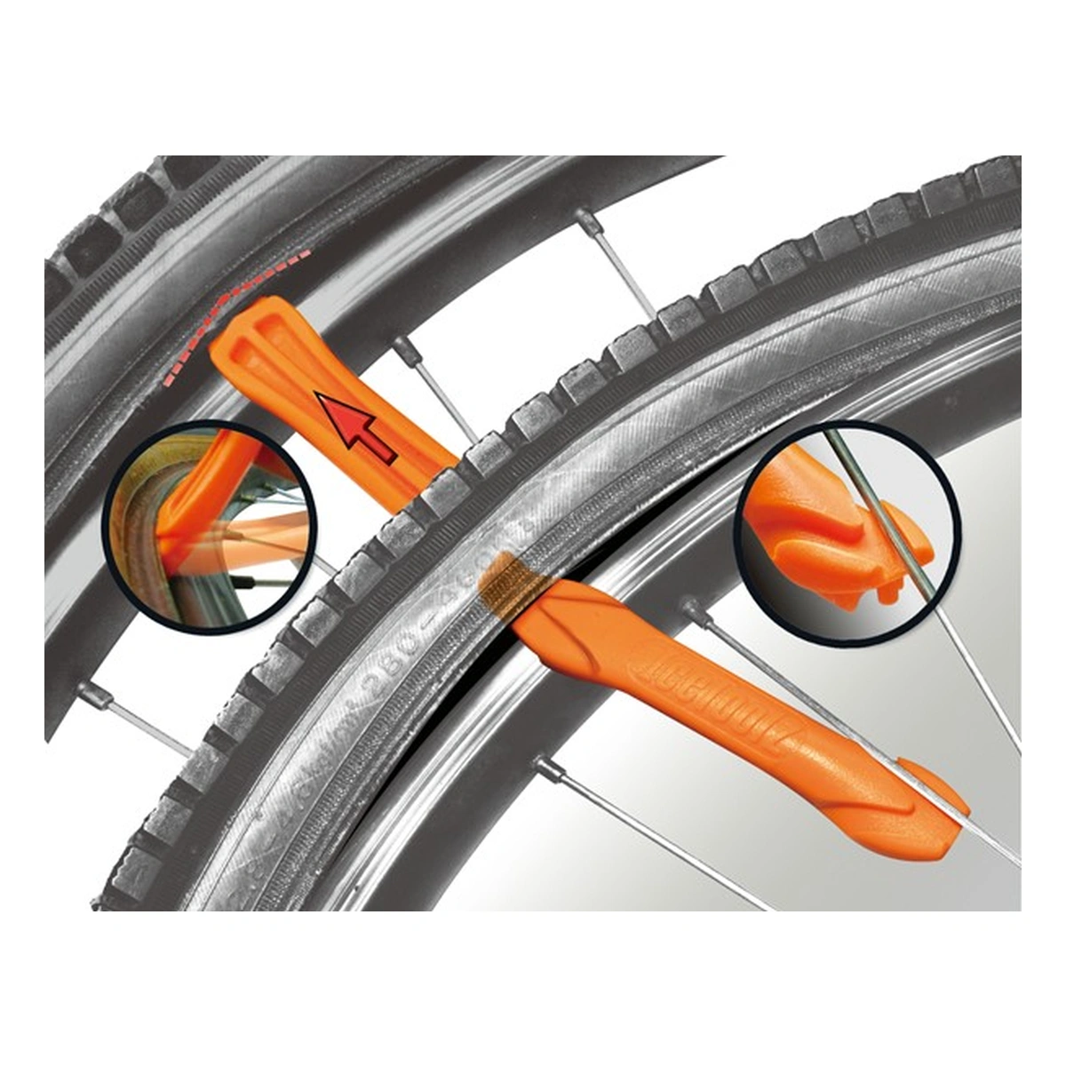 286679_1-1. Webp 286679 1 1