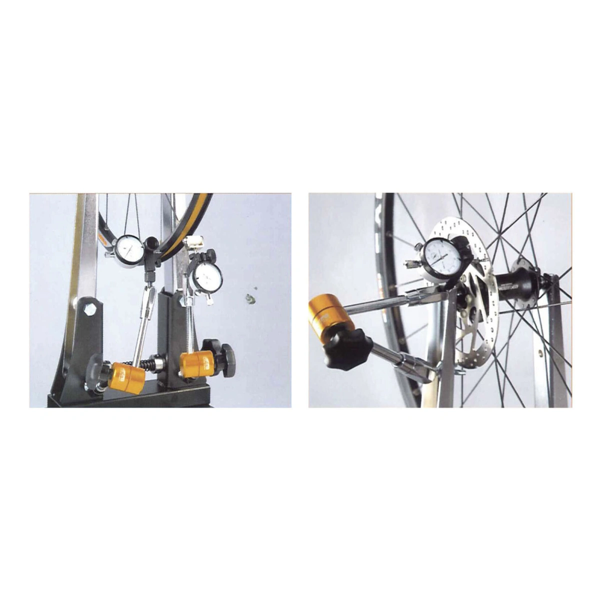 286944_2-1. Webp 286944 2 1