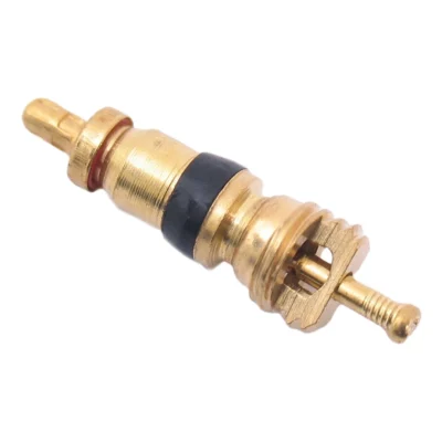 Ventielset schrader compleet (per stuk)