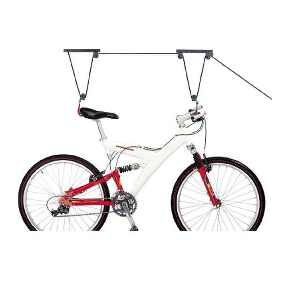 301536-3. Webp 301536 3