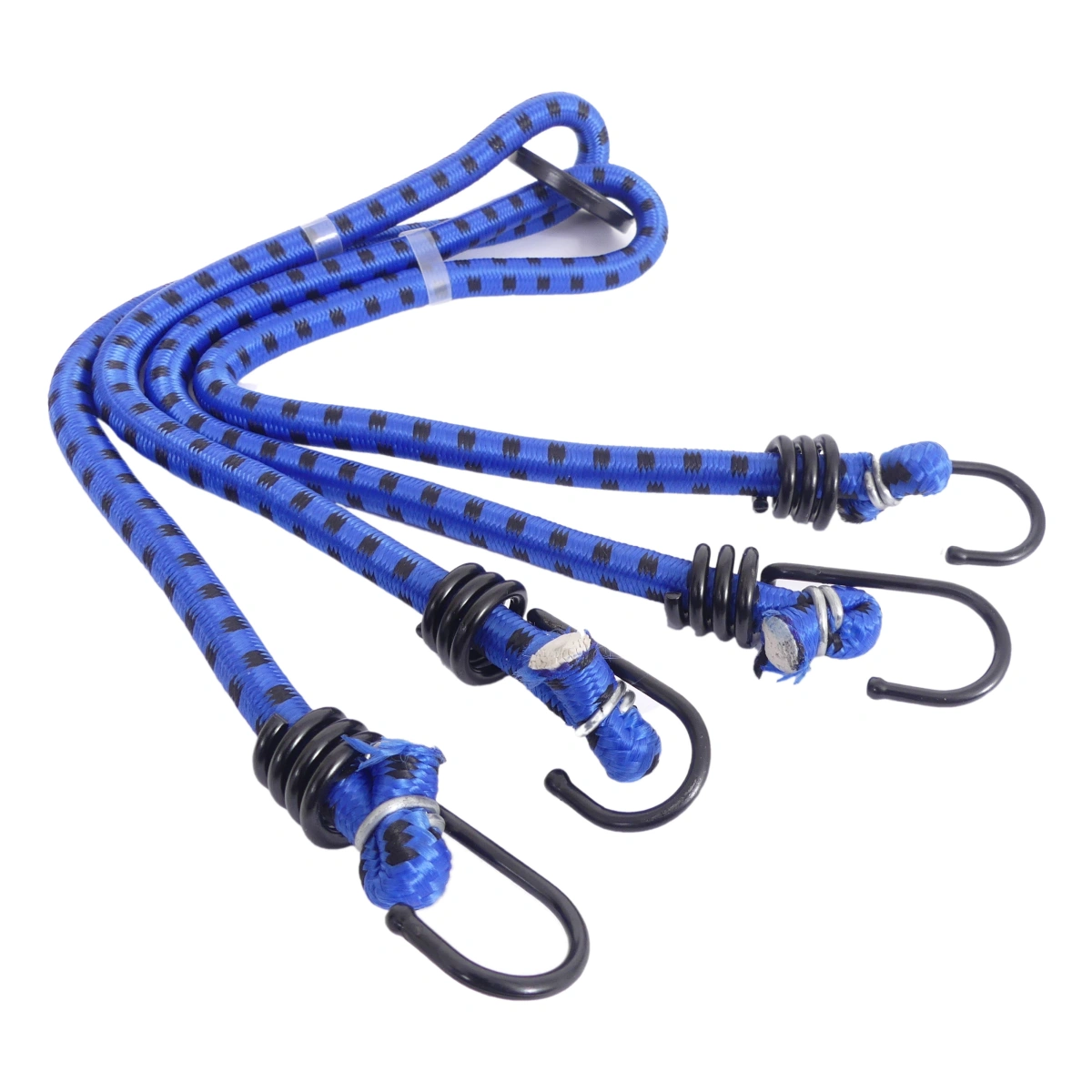 305263_1. Webp 305263 1