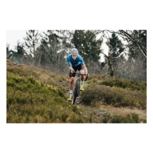 309456_5. Webp 309456 5