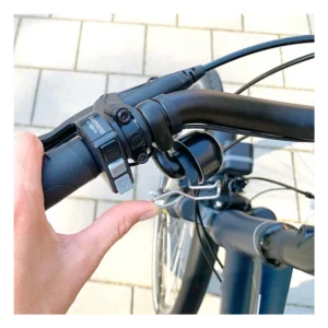 309553_2-1. Webp 309553 2 1