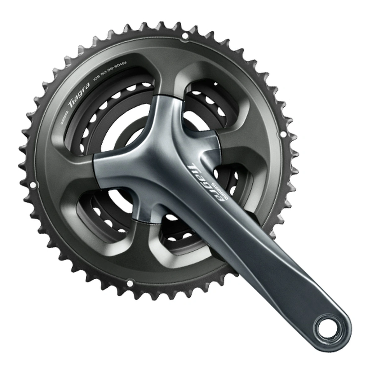 310255-1. Webp 310255 1