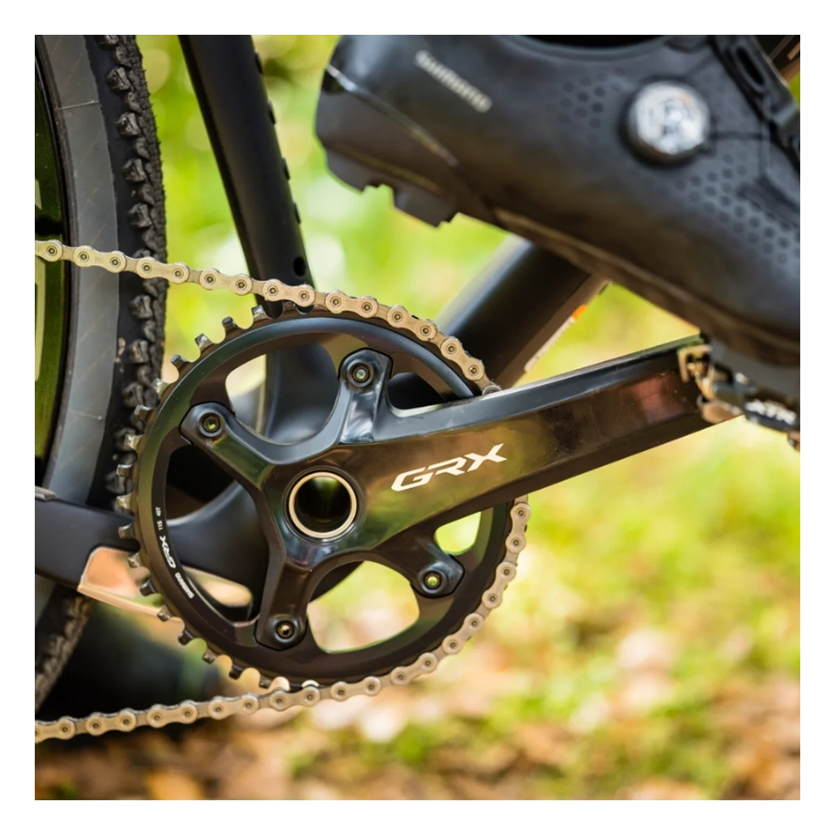 310825_2. Webp 310825 2