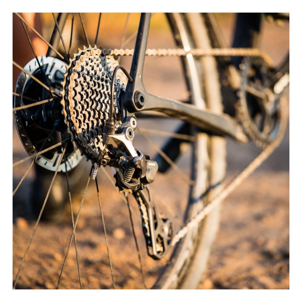 331192_3. Webp 331192 3