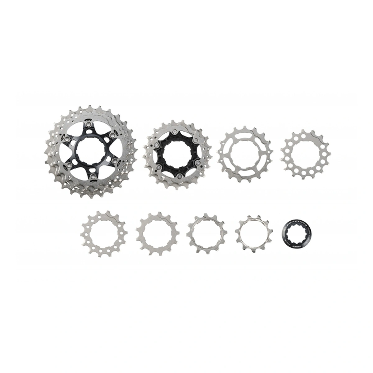 34900062-1-1. Webp 34900062 1 1