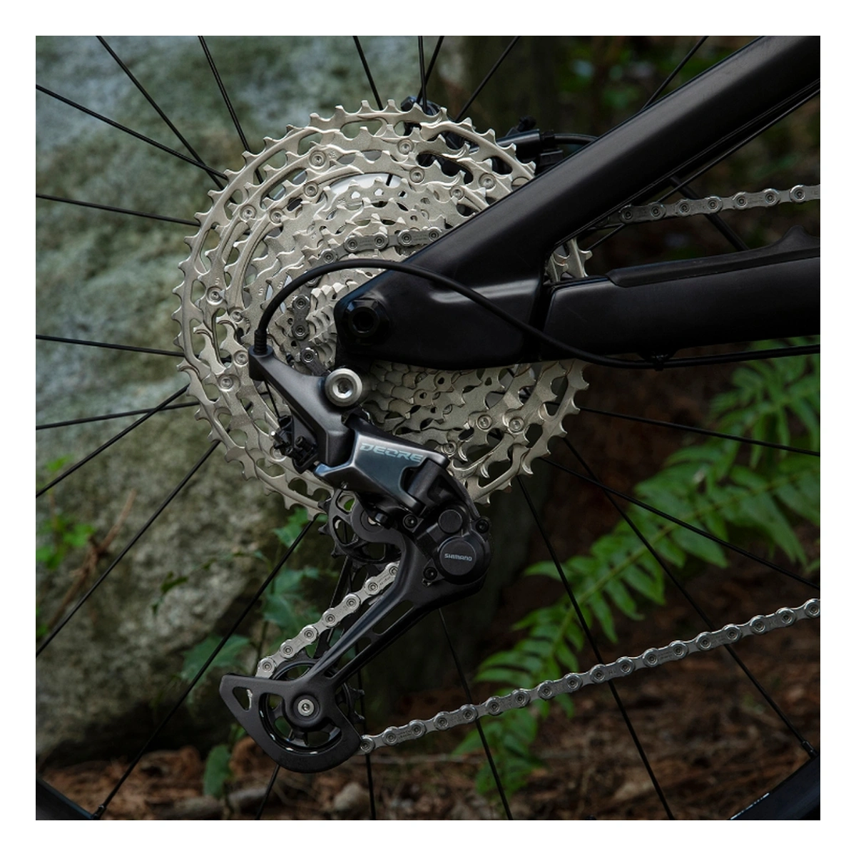 34900238_1. Webp 34900238 1