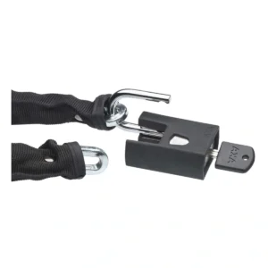 500137-1-1. Webp 500137 1 1