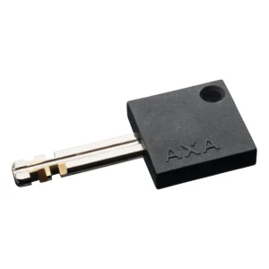 500139_6-1. Webp 500139 6 1