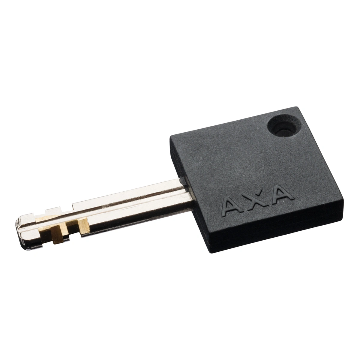 500139_6-1. Webp 500139 6 1