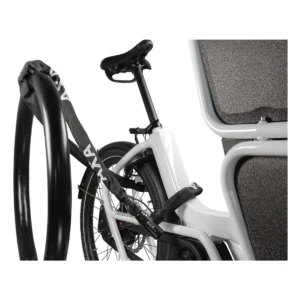 500968_2-1. Webp 500968 2 1