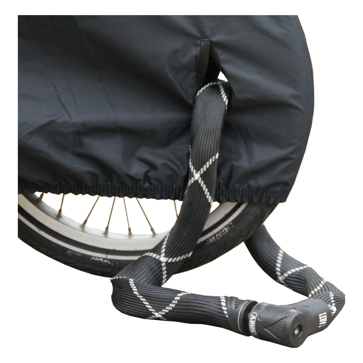 50097870-1-1. Webp 50097870 1 1