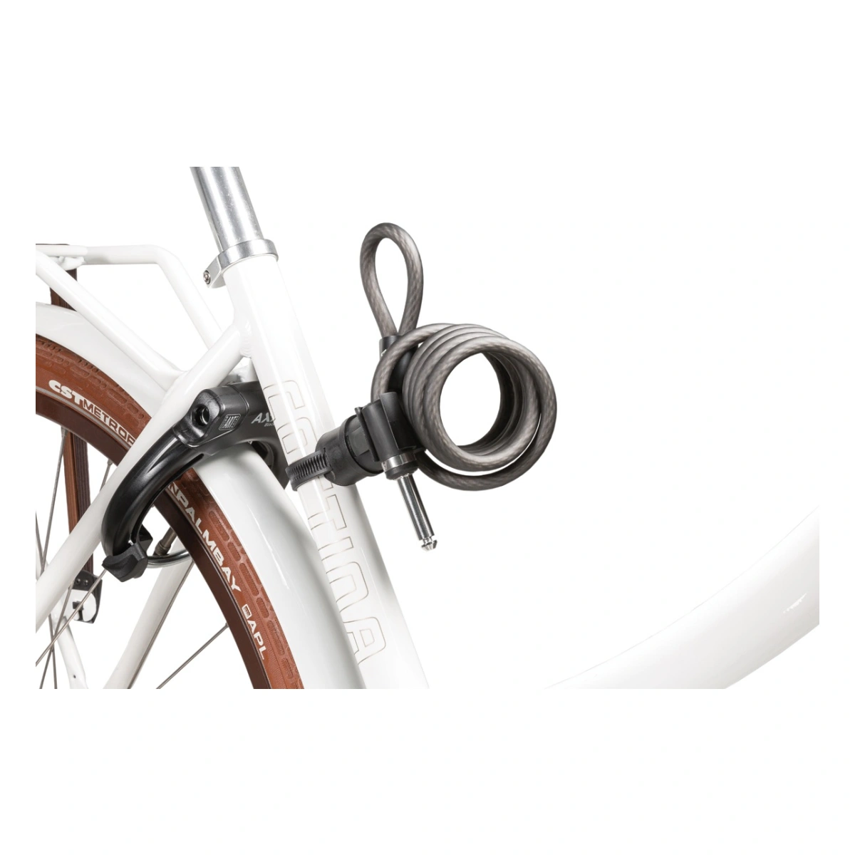 500979_1-1. Webp 500979 1 1