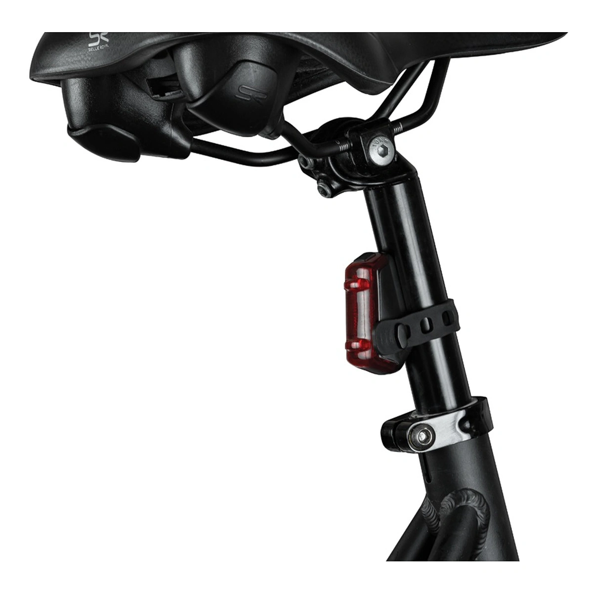 500995_3. Webp 500995 3