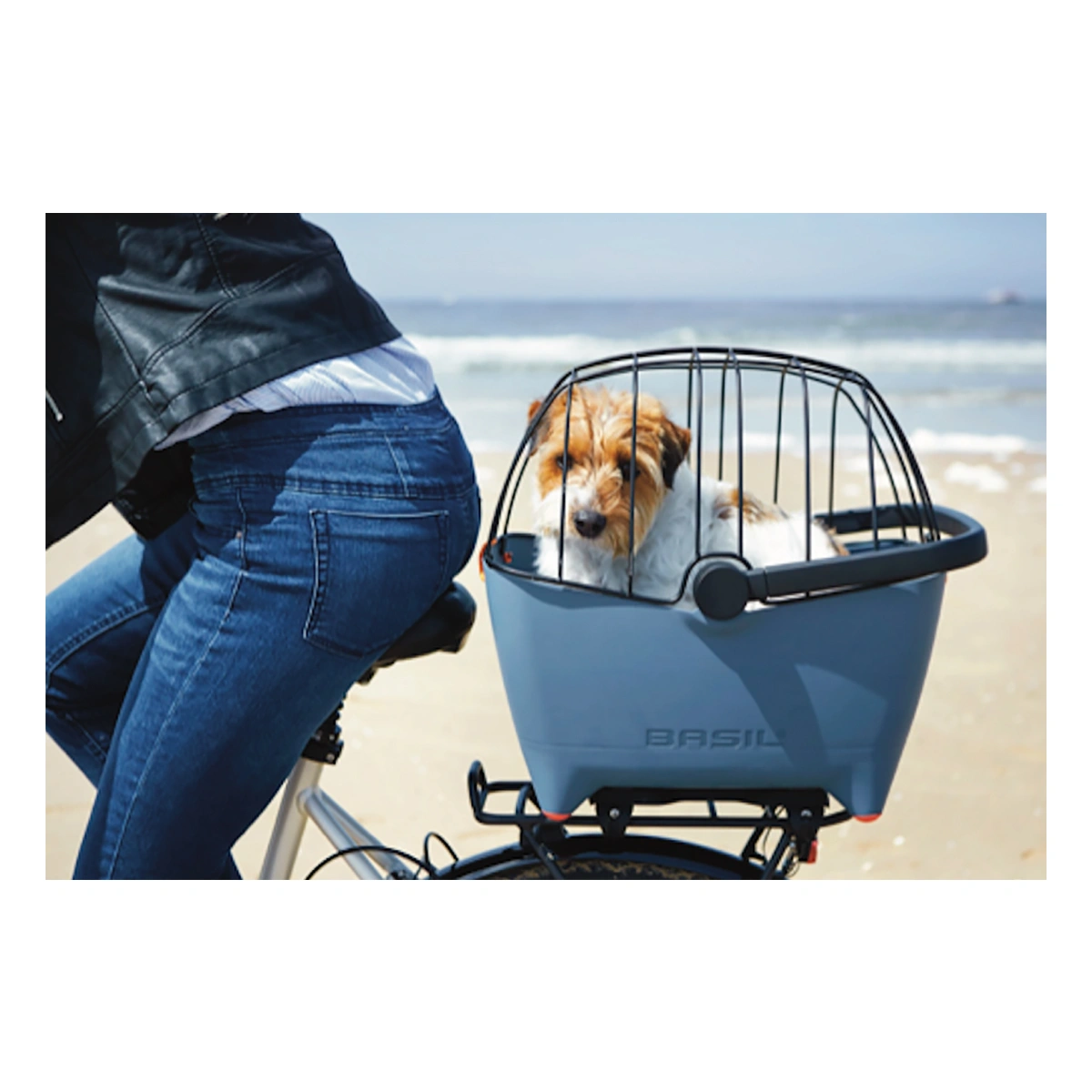 57817129-1-1. Webp 57817129 1 1