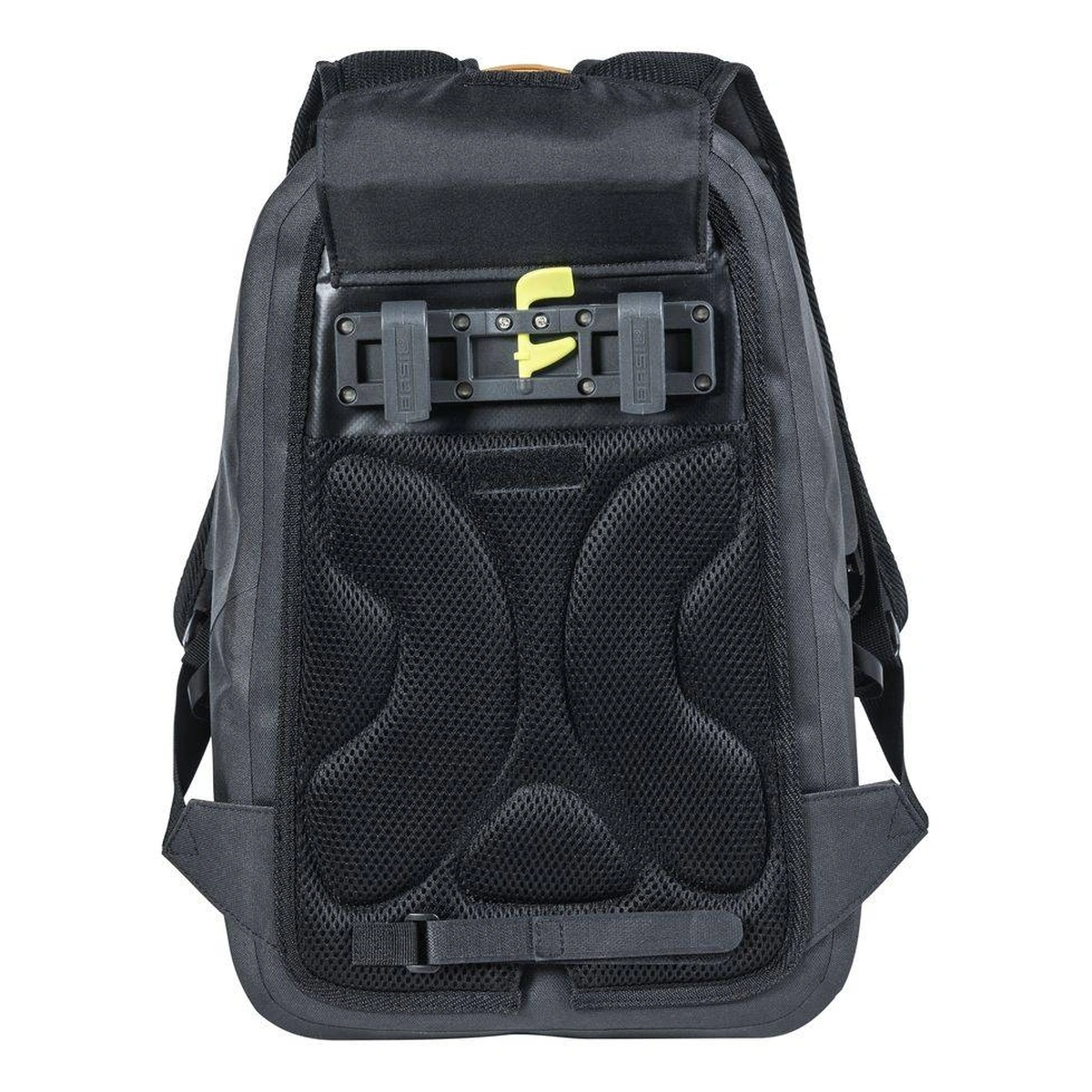 57817664_3-1. Webp 57817664 3 1