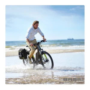 57817666_5-1. Webp 57817666 5 1