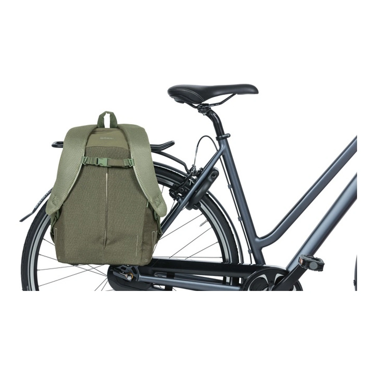 57818067_11-1. Webp 57818067 11 1