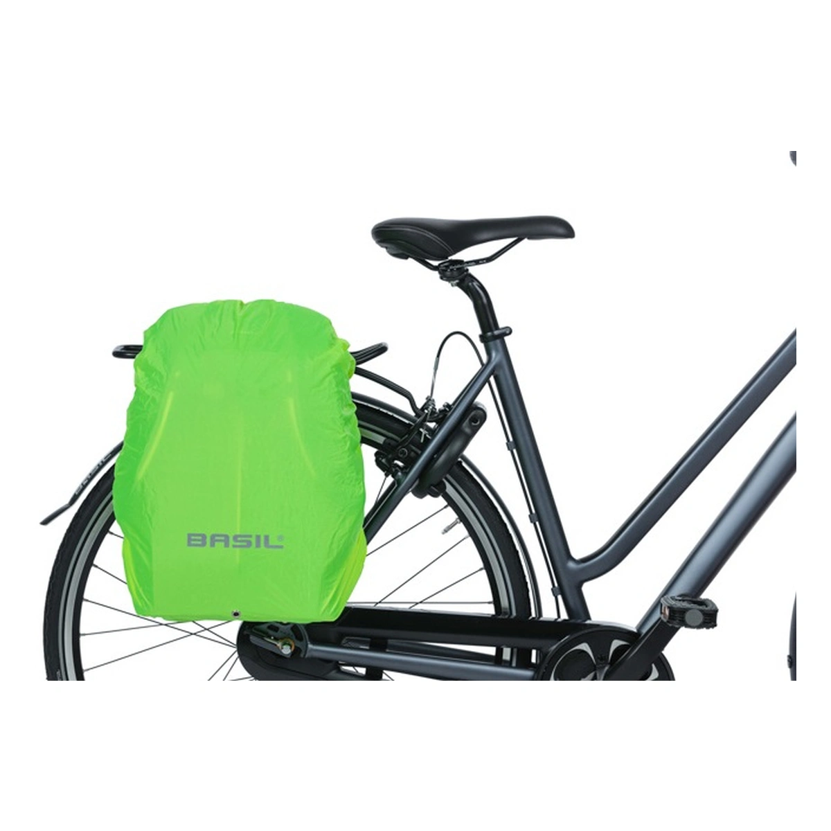 57818067_13-1. Webp 57818067 13 1