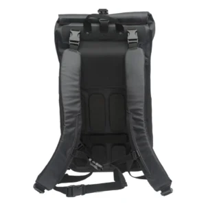 578405-1_1-1. Webp 578405 1 1 1