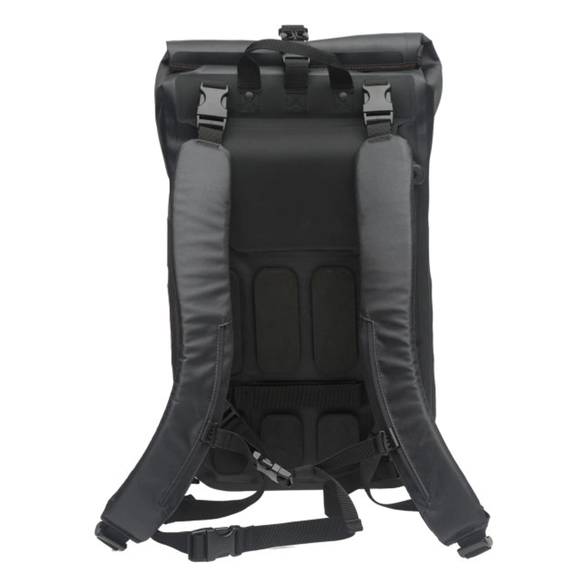 578405-1_1-1. Webp 578405 1 1 1