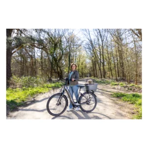 58010158_12_. Webp 58010158 12