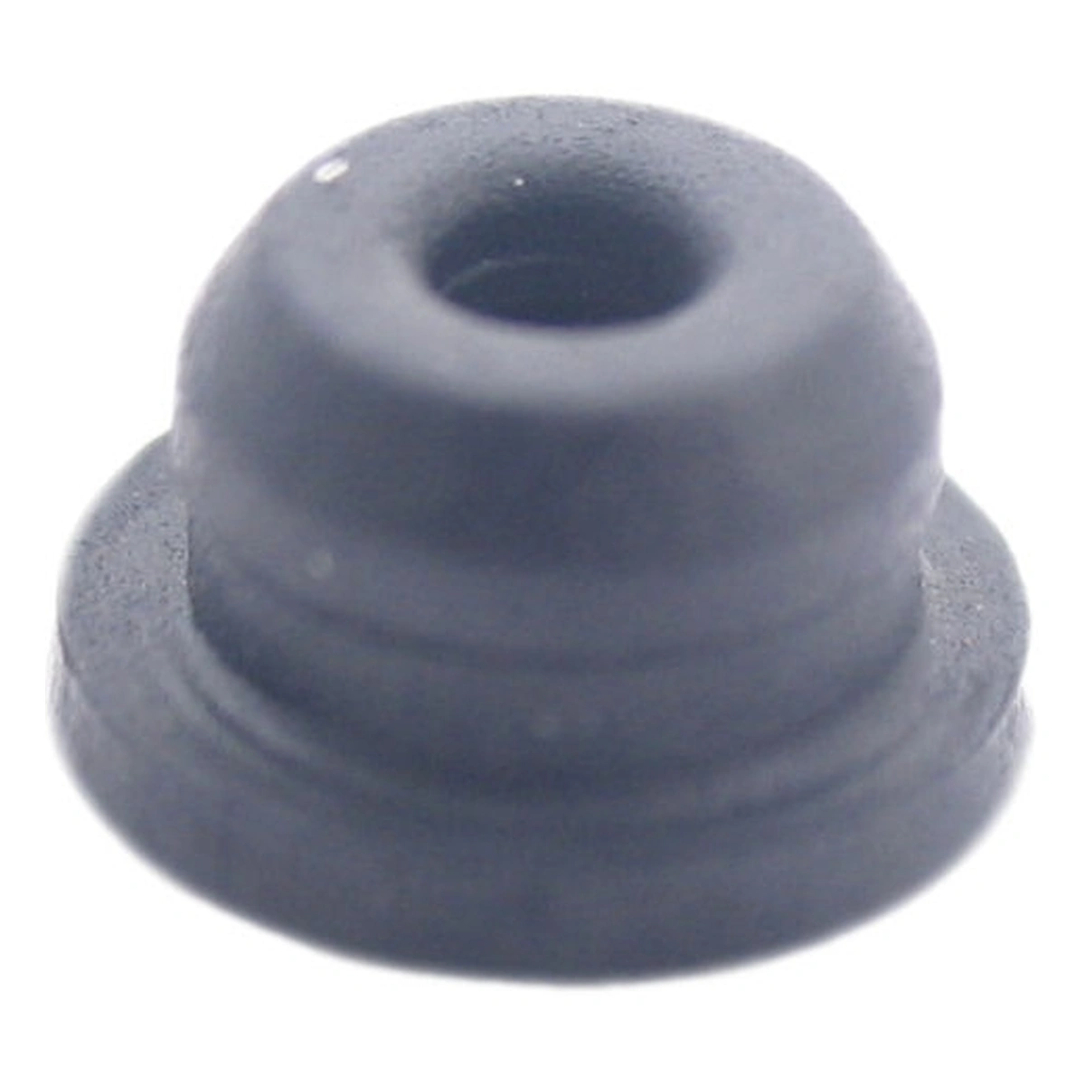 583198_1-1. Webp 583198 1 1