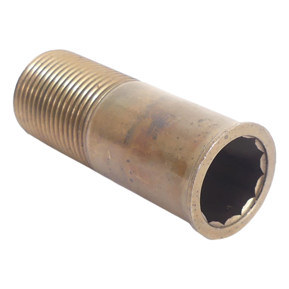 583729_1-1. Webp 583729 1 1