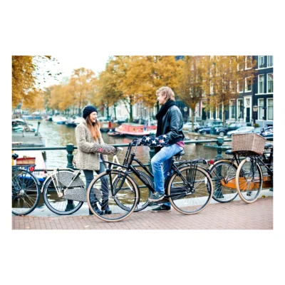 58525007-3-1. Webp 58525007 3 1