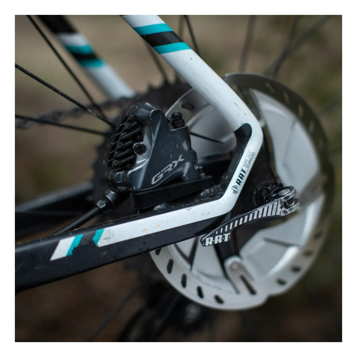 703944_1. Webp 703944 1