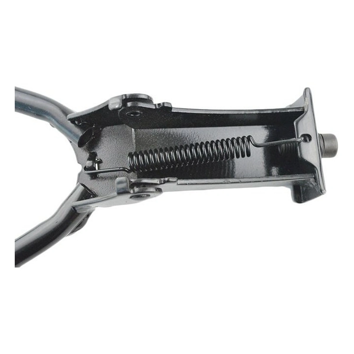 723204-3-1. Webp 723204 3 1