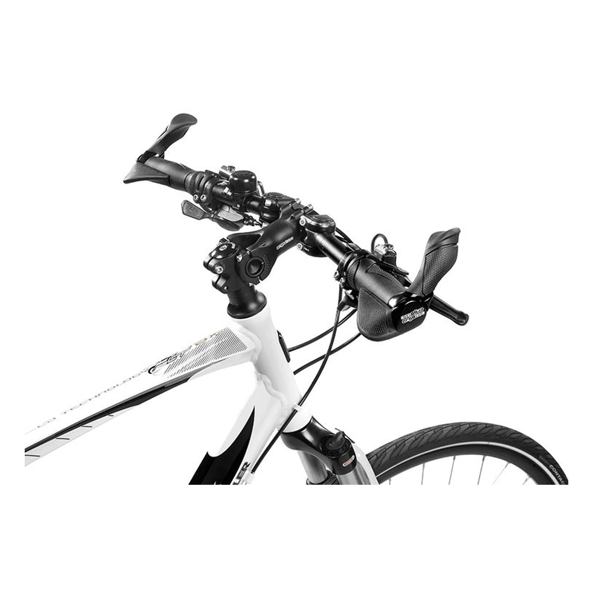 725791_2_1-1. Webp 725791 2 1 1