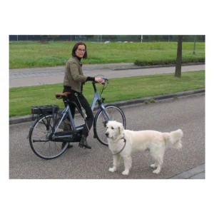 740100-1-1. Webp 740100 1 1