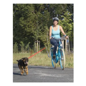 740100_4-1. Webp 740100 4 1