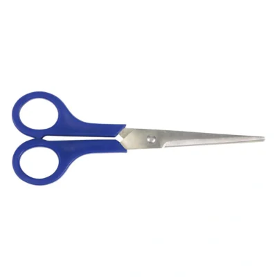 Schaar RVS Cyclus 20 cm universeel