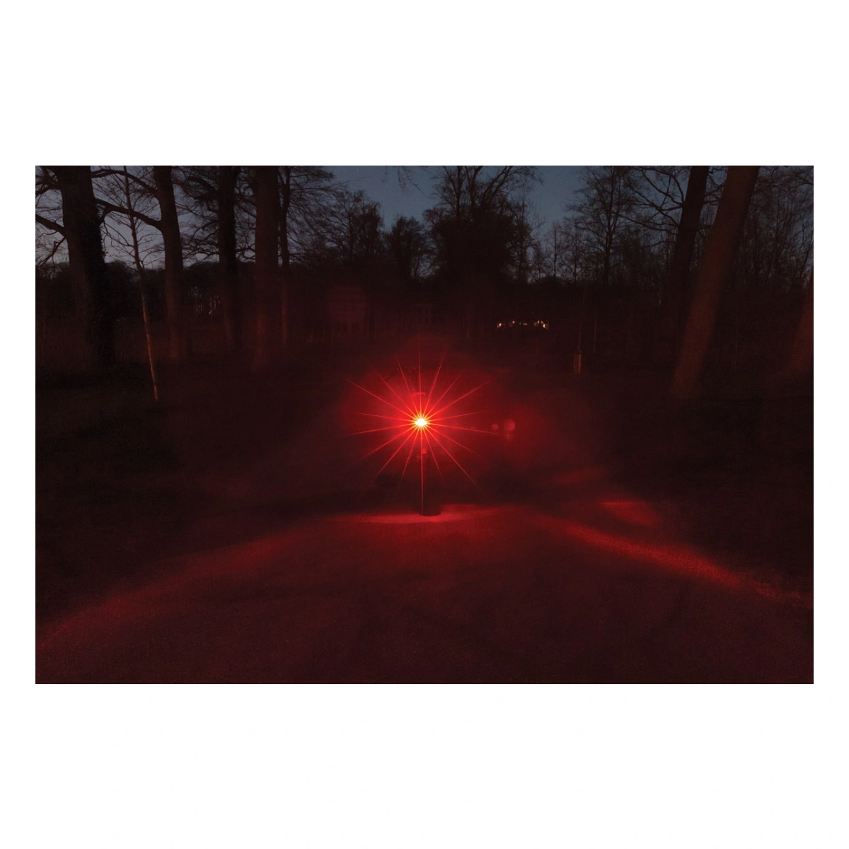 80001087_6-1. Webp 80001087 6 1