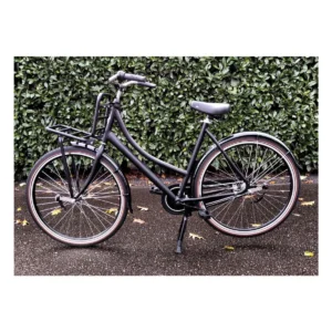 80020400_3-1. Webp 80020400 3 1