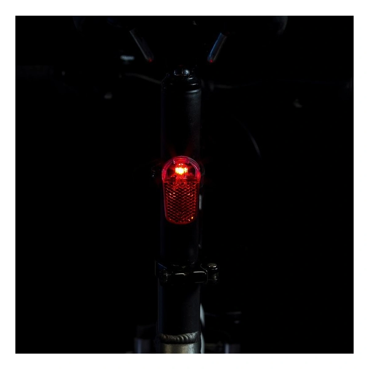 800208_1-1. Webp 800208 1 1