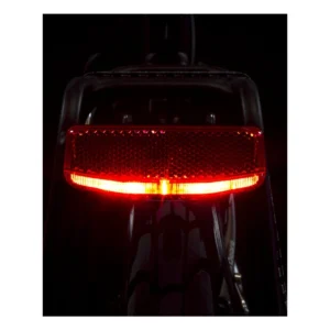 800242-5-1. Webp 800242 5 1