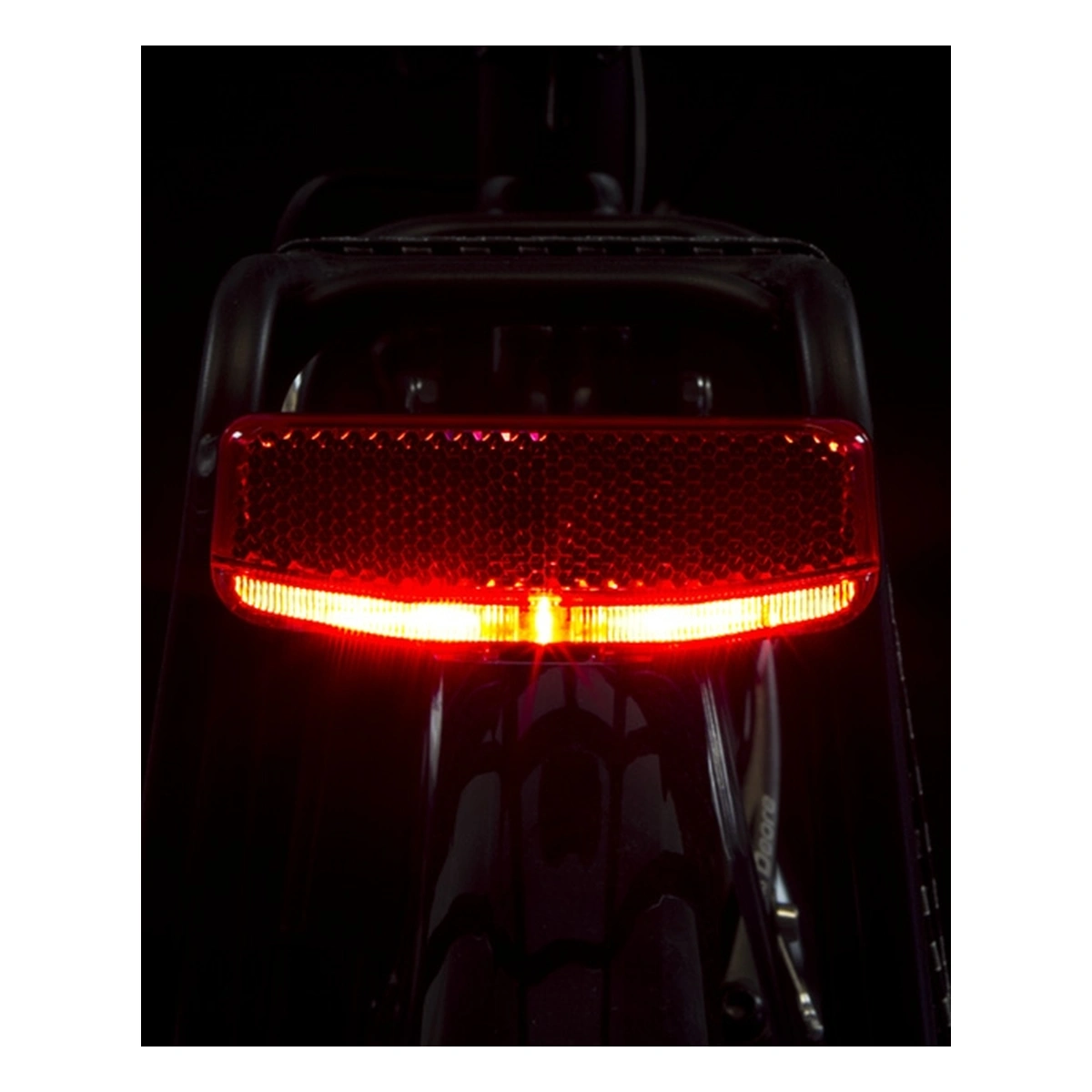 800242-5-1. Webp 800242 5 1