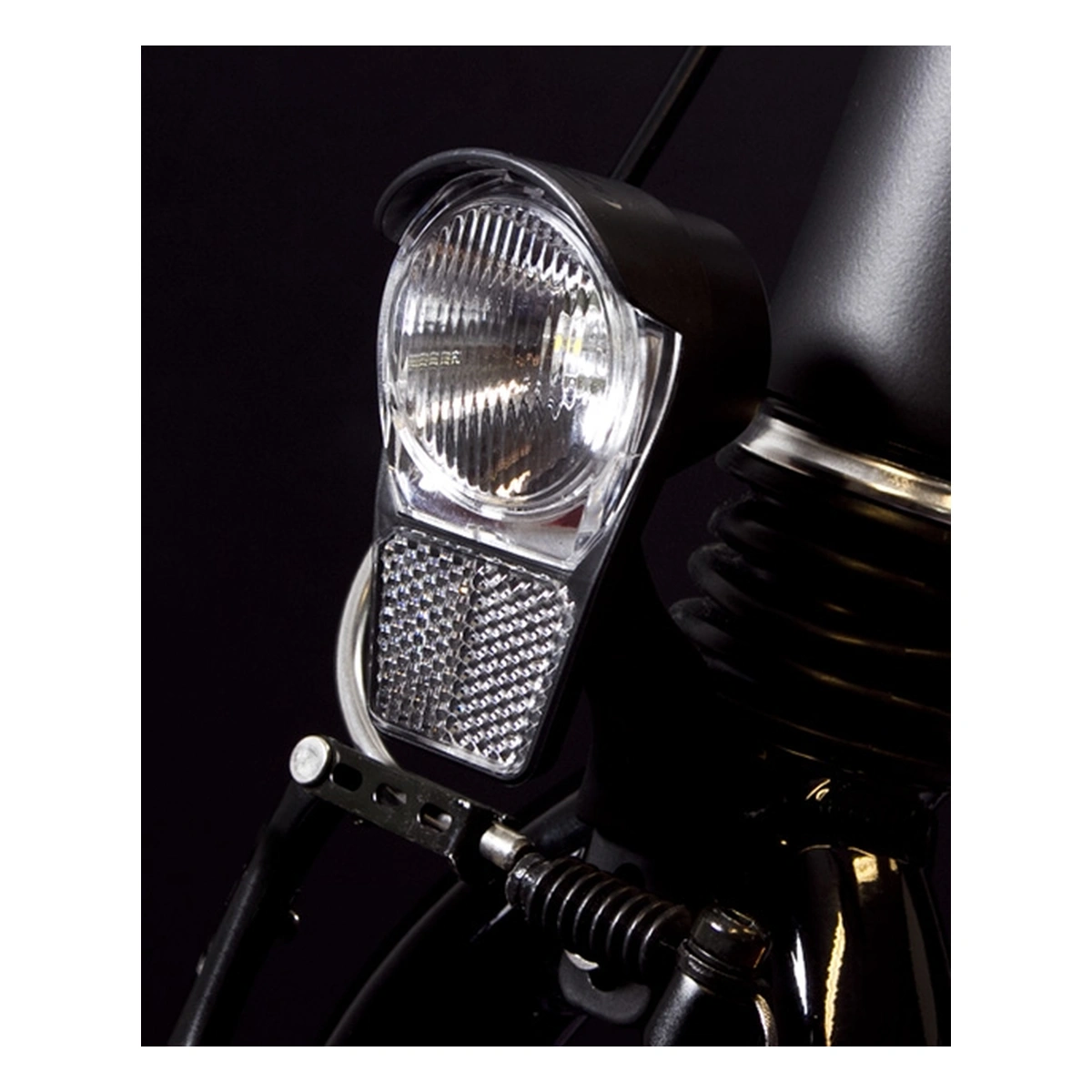 800319-2-1. Webp 800319 2 1